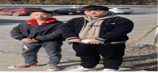 现场技术服务